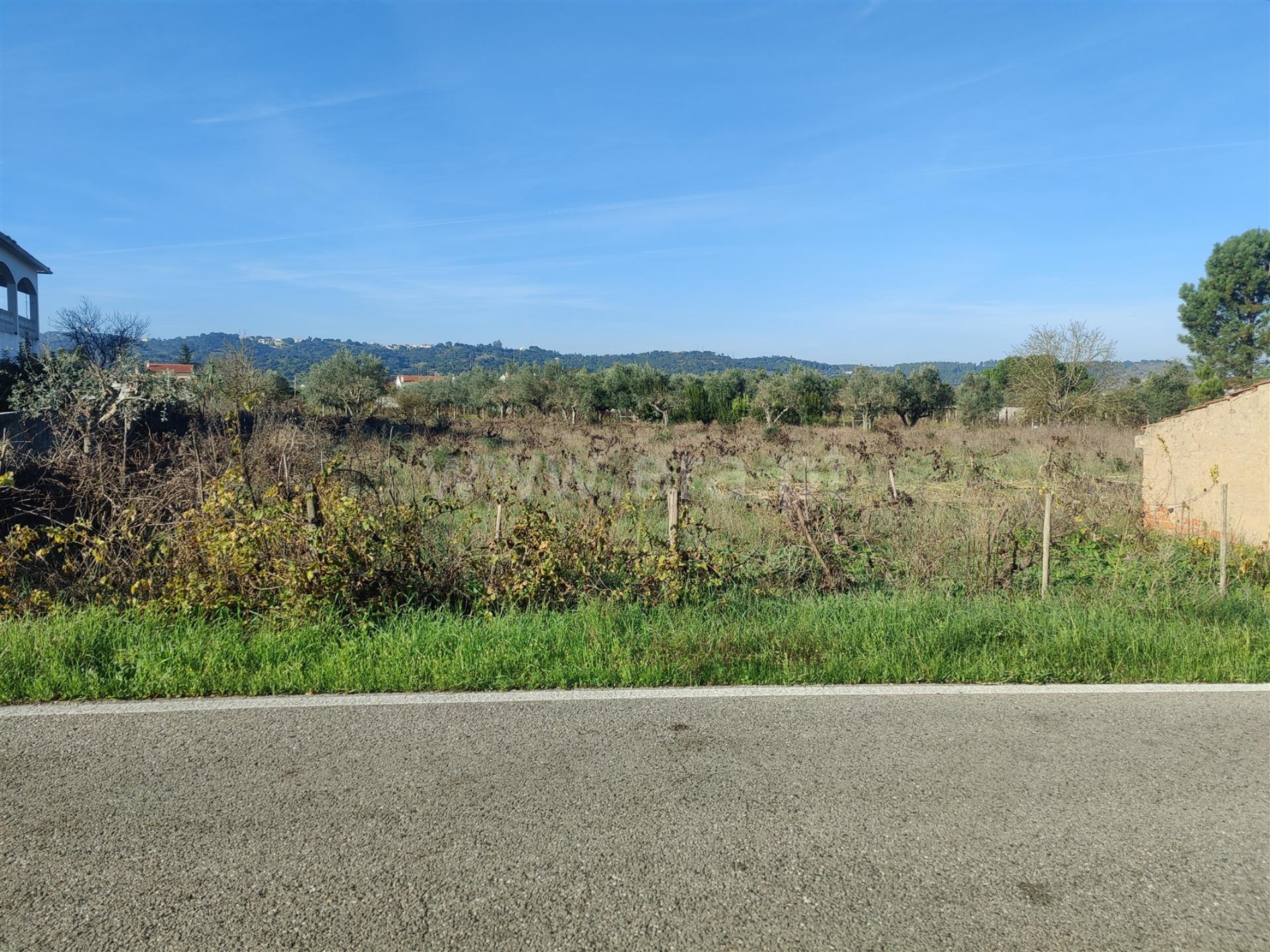 Land for sale in Abrantes, Portugal — €52,000