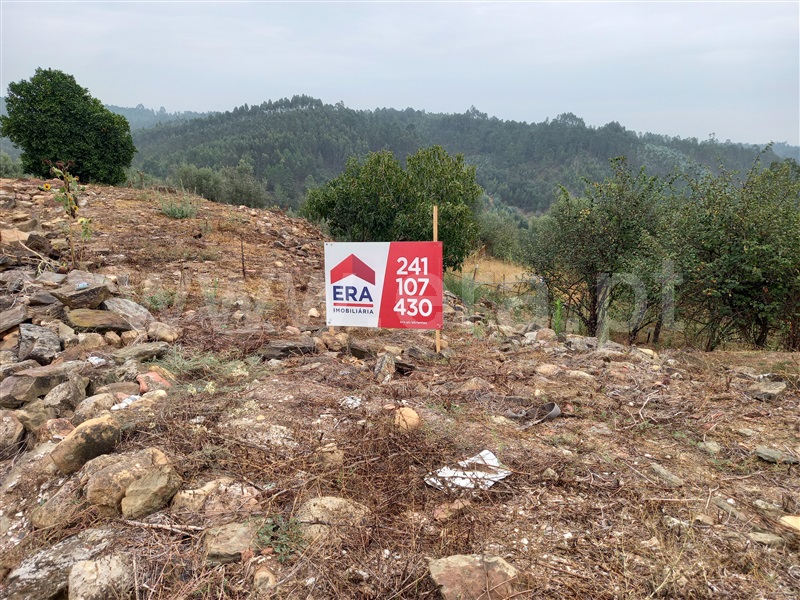 Terreno com ruina  Abrantes, Souto - 1432975 - 2