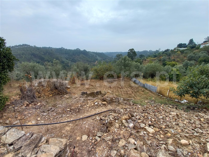 Terreno com ruina  Abrantes, Souto - 1432975 - 3