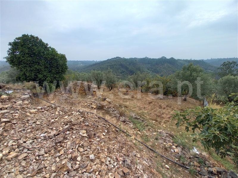 Terreno com ruina  Abrantes, Souto - 1432975 - 4