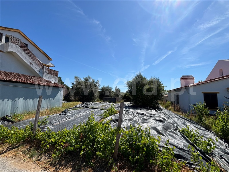 Terreno Misto  Abrantes, Tramagal - 1492966 - 2