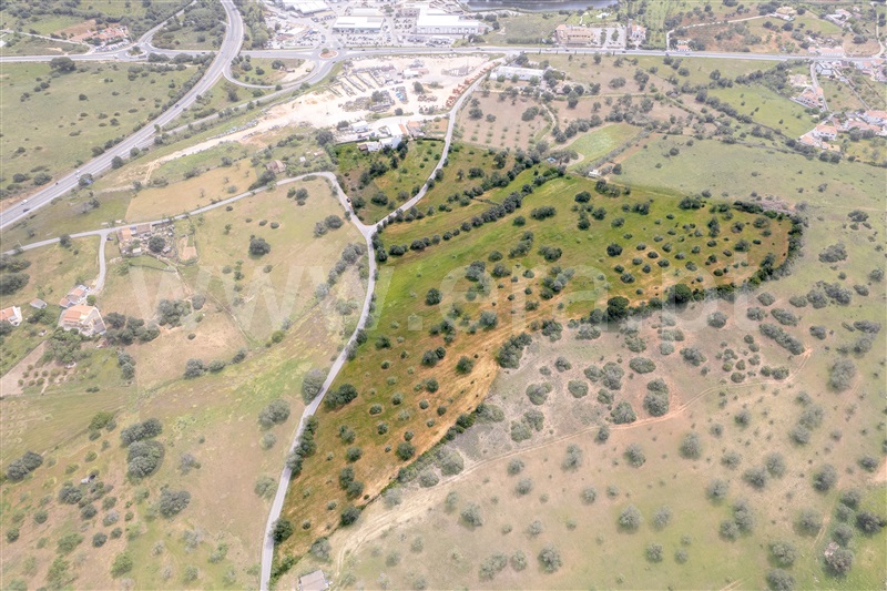 Terreno Misto / Albufeira, Ferreiras