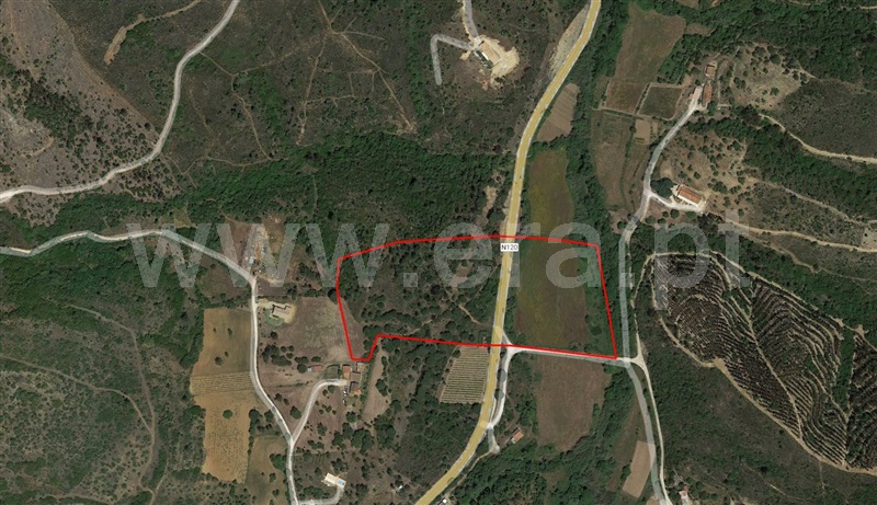 Terreno Misto T4 Aljezur, Aljezur - 1272010 - 1
