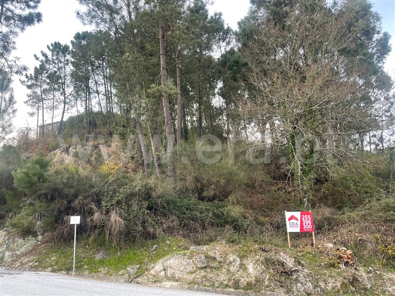 Terreno / Amarante, Fregim
