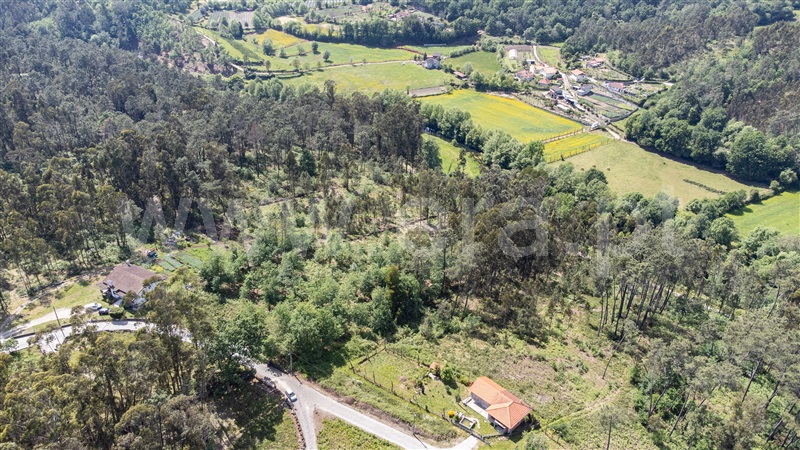 Terreno Misto  Amares, Caldelas, Sequeiros e Paranhos - 1240073 - 5