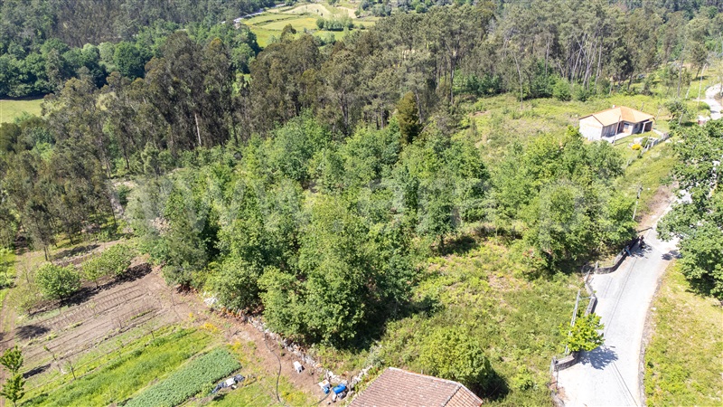 Terreno Misto  Amares, Caldelas, Sequeiros e Paranhos - 1240073 - 8