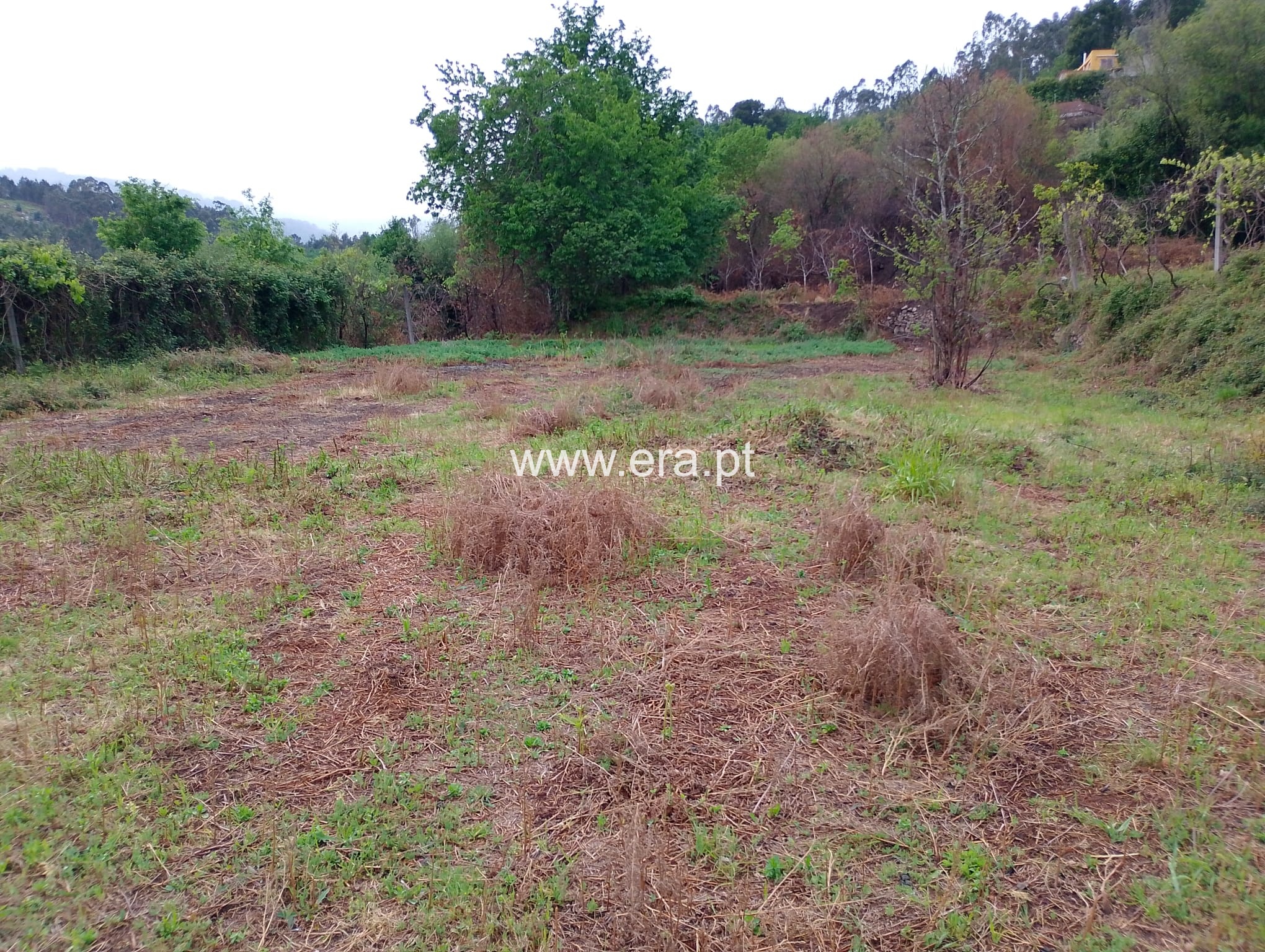 Terreno Misto / Arcos de Valdevez, Alvora e Loureda