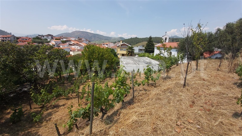 Terreno Misto  Armamar, Vacalar - 1091895 - 4
