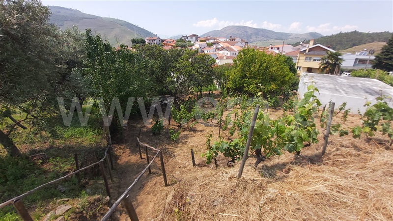 Terreno Misto  Armamar, Vacalar - 1091895 - 6