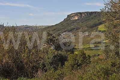 Terreno Misto / Arruda dos Vinhos, Arruda dos Vinhos