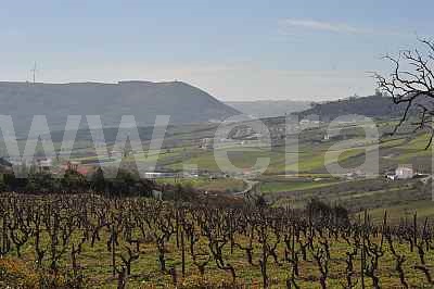 Terreno Misto  Arruda dos Vinhos - 1411316 - 3