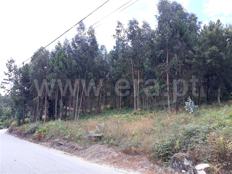Terreno Misto  Barcelos, Aborim - 1044098 - 3