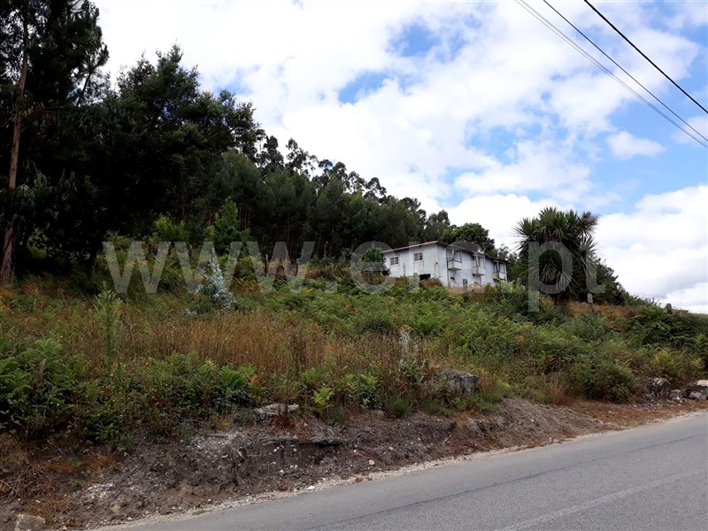 Terreno Misto / Barcelos, Aborim
