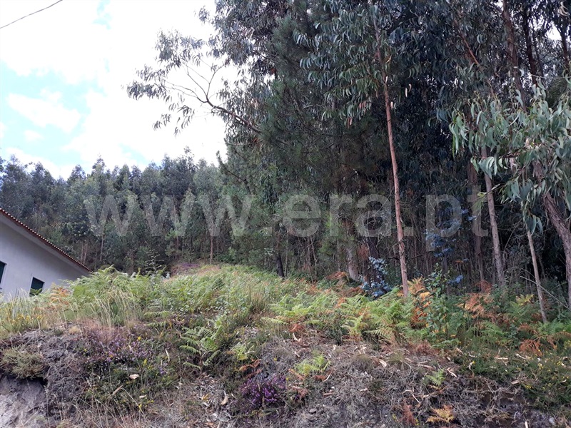 Terreno Misto  Barcelos, Aborim - 1044098 - 4