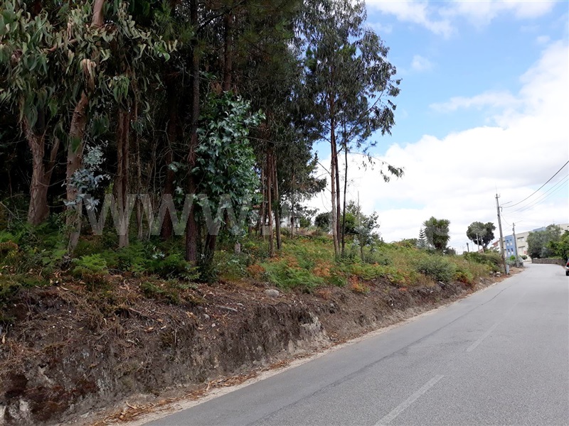 Terreno Misto / Barcelos, Aborim