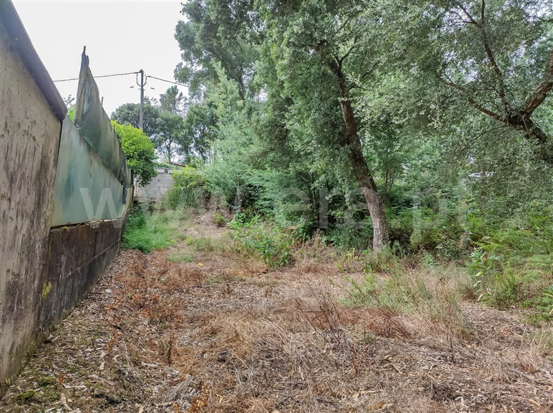 Terreno Misto  Barcelos, Aldreu - 1488654 - 3