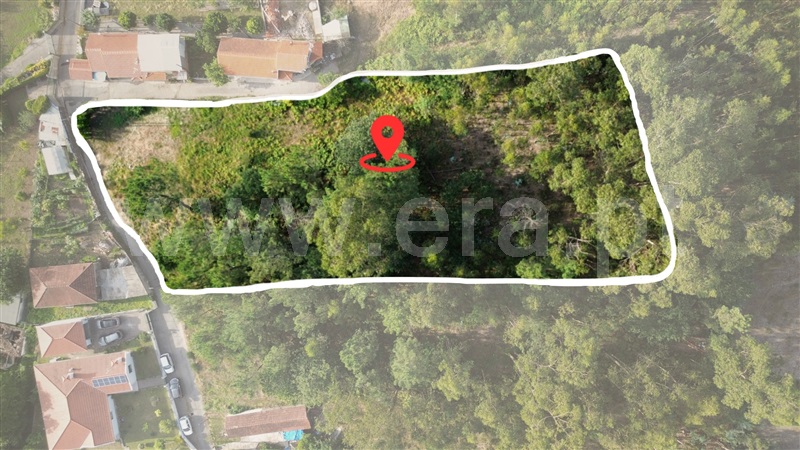 Terreno Misto  Barcelos, Alheira e Igreja Nova - 1421734 - 4