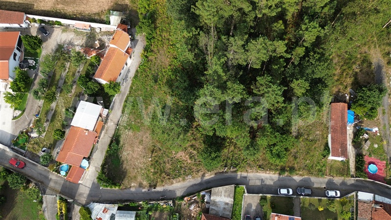 Terreno Misto  Barcelos, Alheira e Igreja Nova - 1421734 - 8