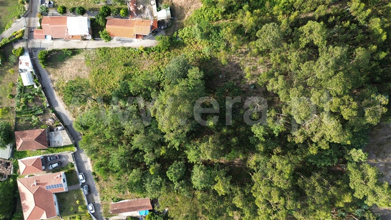 Terreno Misto  Barcelos, Alheira e Igreja Nova - 1421734 - 11