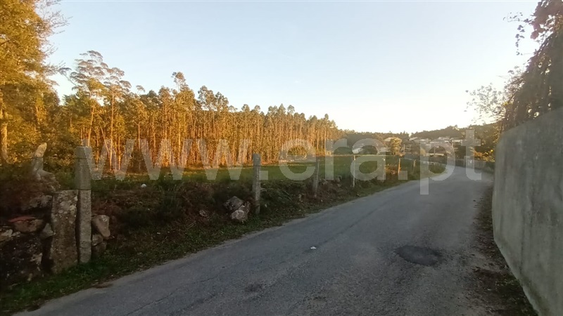 Terreno Misto / Barcelos, Alheira e Igreja Nova