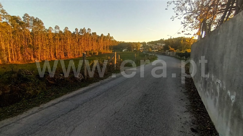 Terreno Misto  Barcelos, Alheira e Igreja Nova - 1444511 - 5
