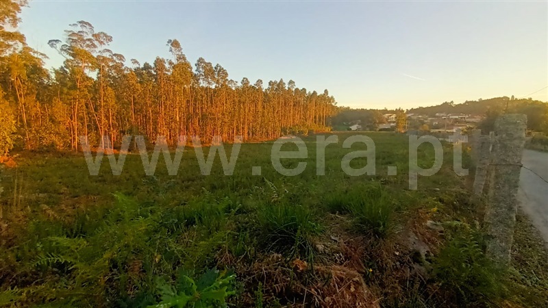 Terreno Misto  Barcelos, Alheira e Igreja Nova - 1444511 - 6