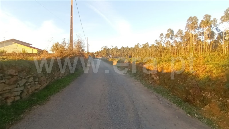 Terreno Misto  Barcelos, Alheira e Igreja Nova - 1444511 - 10