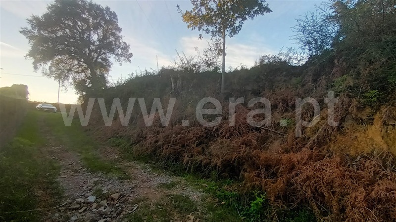 Terreno Misto  Barcelos, Alheira e Igreja Nova - 1444511 - 11