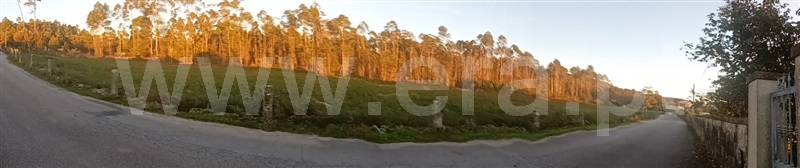 Terreno Misto  Barcelos, Alheira e Igreja Nova - 1444511 - 12