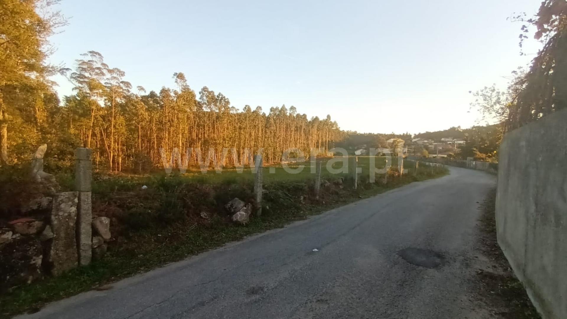 Land for sale in Barcelos, Portugal — €135,000