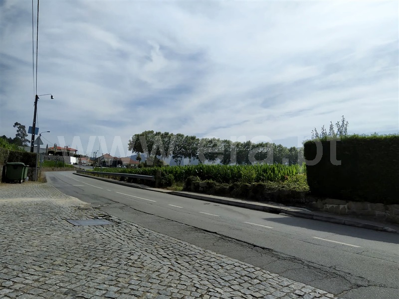 Terreno Misto / Barcelos, Alvelos
