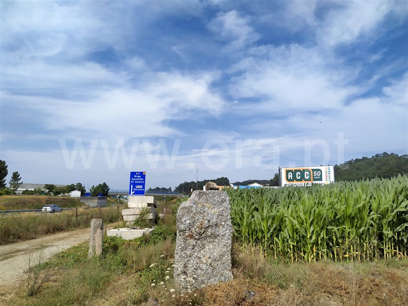 Terreno Misto  Barcelos, Alvelos - 1082732 - 4