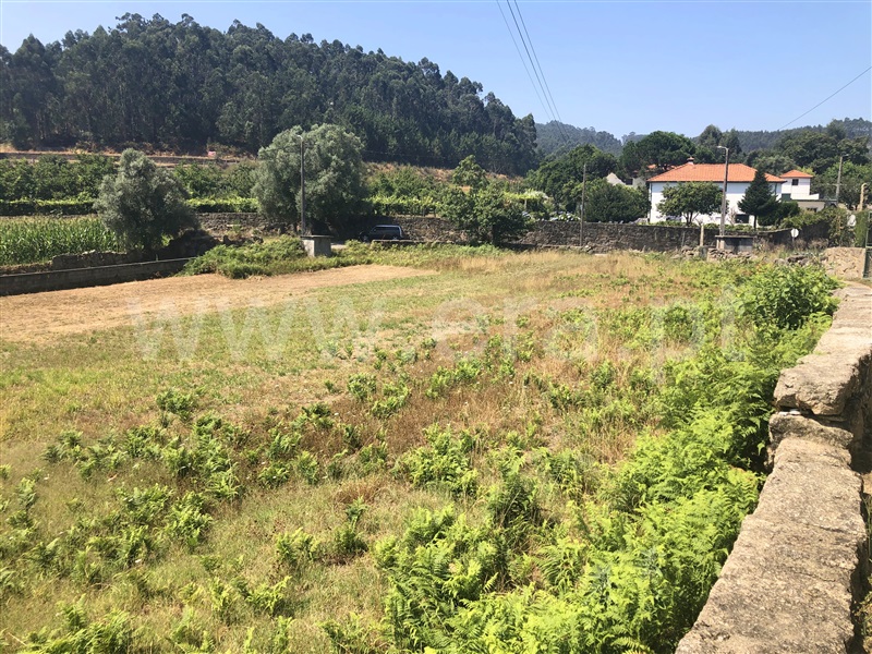 Terreno Misto  Barcelos, Alvelos - 1119829 - 3