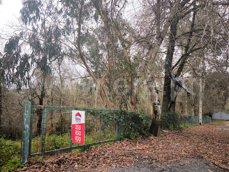 Terreno Misto / Barcelos, Alvito (São Pedro e São Martinho) e Couto