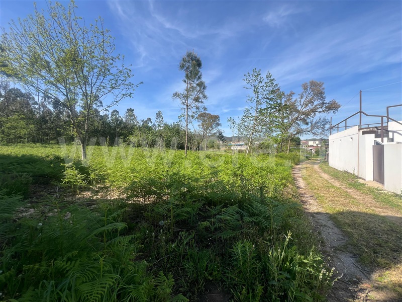 Terreno Misto / Barcelos, Campo e Tamel (São Pedro Fins)