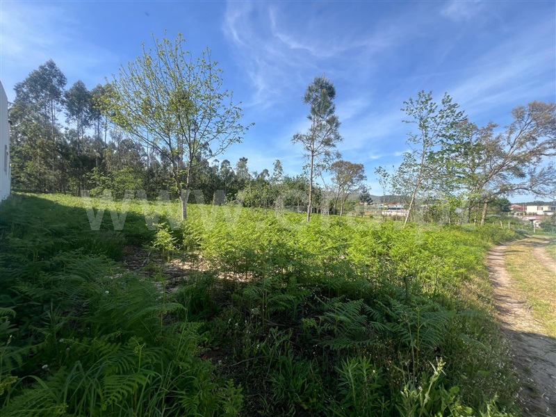 Terreno Misto  Barcelos, Campo e Tamel (São Pedro Fins) - 1478156 - 2
