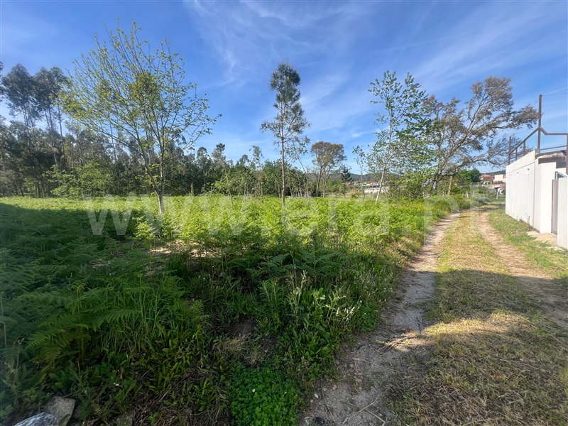 Terreno Misto  Barcelos, Campo e Tamel (São Pedro Fins) - 1478156 - 4