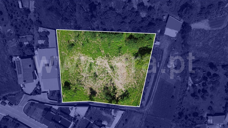 Terreno Misto  Barcelos, Campo e Tamel (São Pedro Fins) - 1478156 - 9