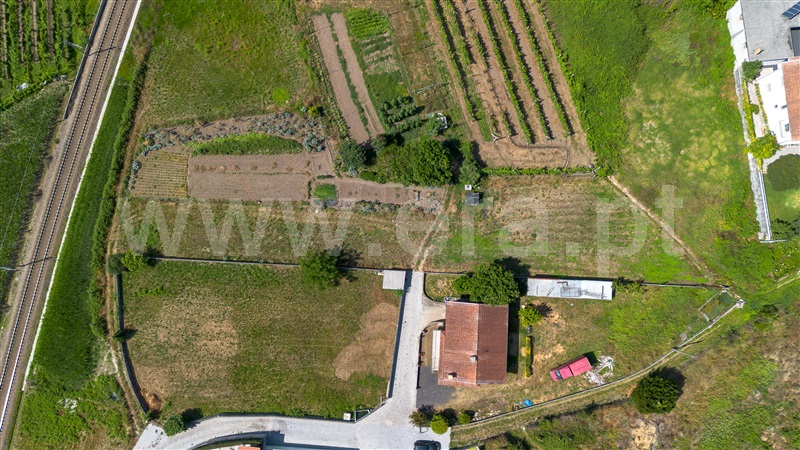 Terreno Misto  Barcelos, Carapeços - 1488806 - 3