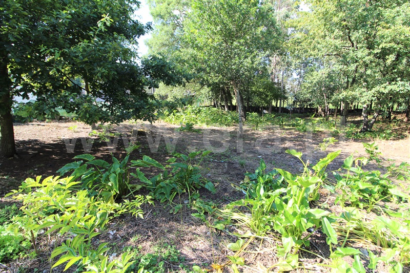 Terreno Misto / Barcelos, Carvalhal