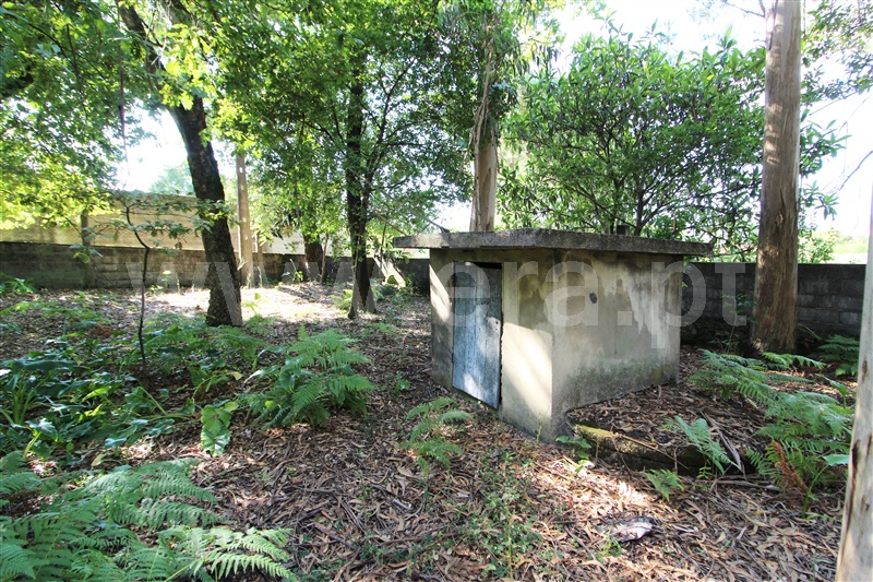Terreno Misto  Barcelos, Carvalhal - 1191034 - 5