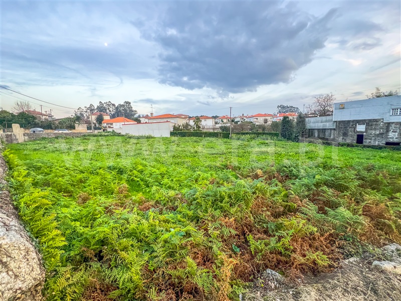 Terreno Misto  Barcelos, Carvalhal - 1450309 - 12