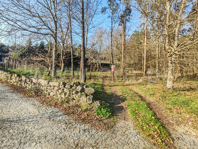 Terreno Misto  Barcelos, Cossourado - 1376980 - 1