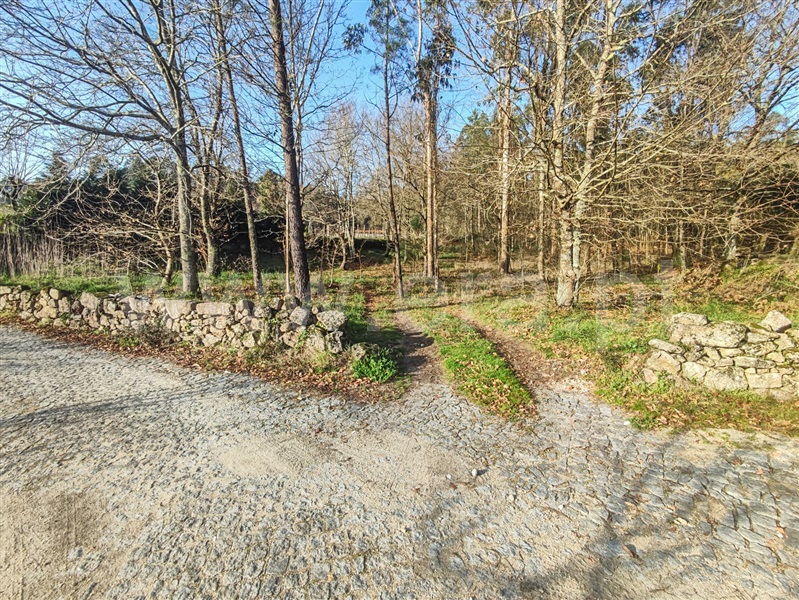 Terreno Misto  Barcelos, Cossourado - 1376980 - 5