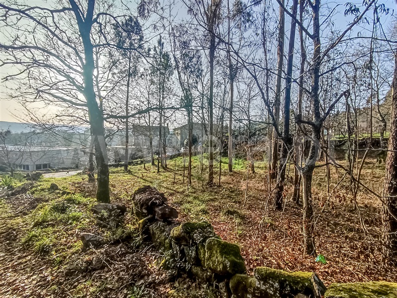 Terreno Misto  Barcelos, Cossourado - 1376980 - 7