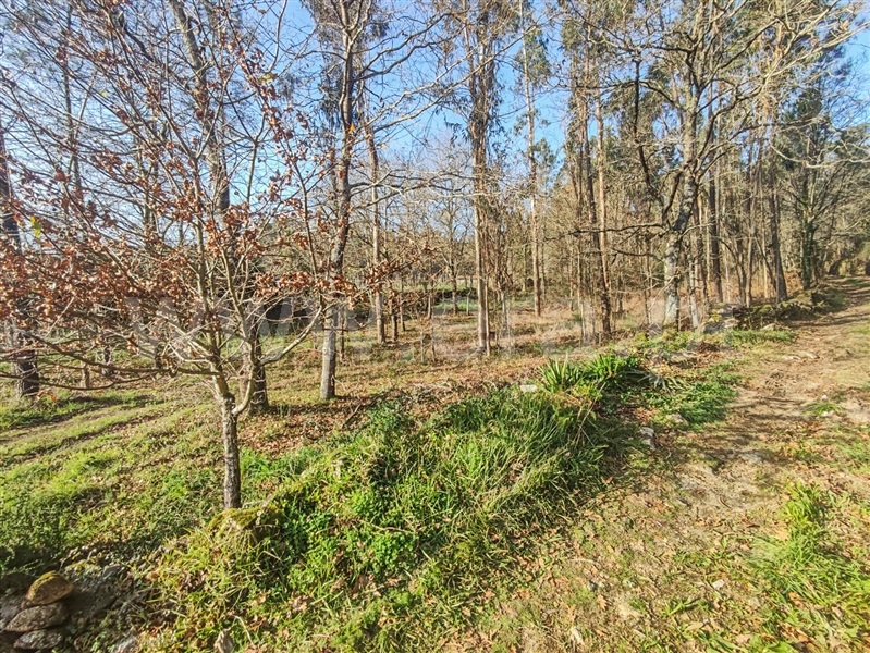 Terreno Misto  Barcelos, Cossourado - 1376980 - 10