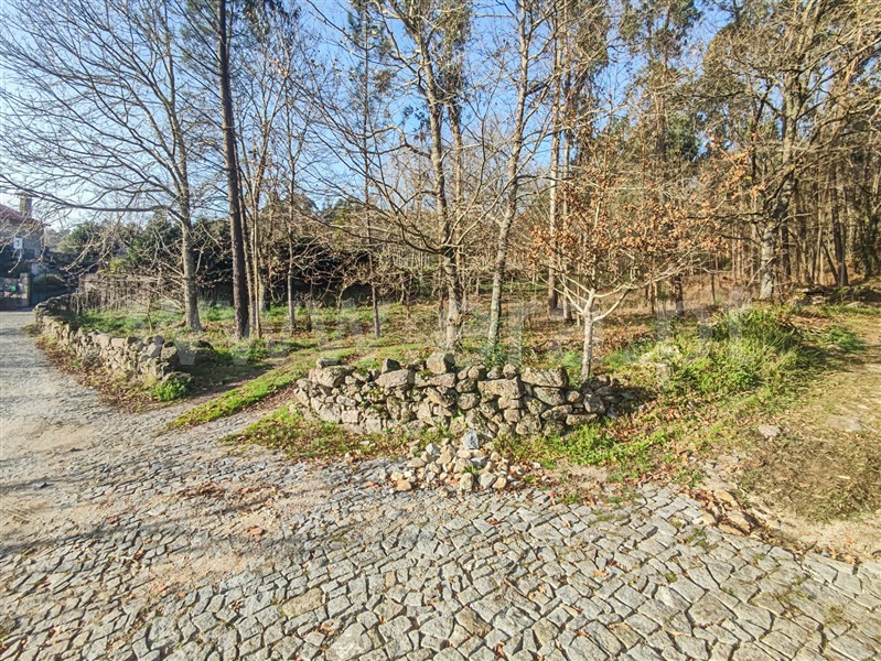 Terreno Misto  Barcelos, Cossourado - 1376980 - 11