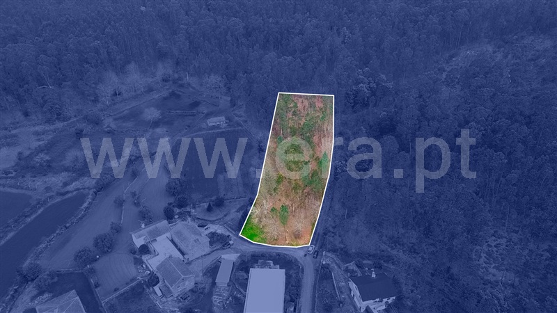 Terreno Misto  Barcelos, Cossourado - 1376980 - 16