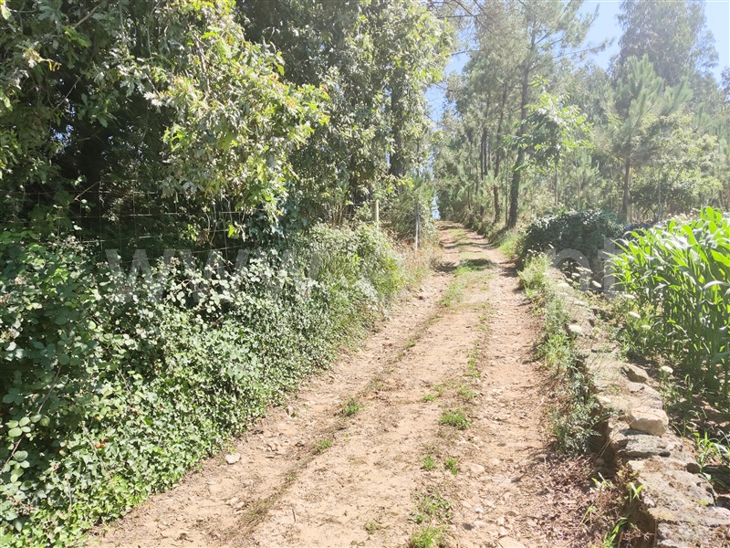 Terreno Misto / Barcelos, Cristelo