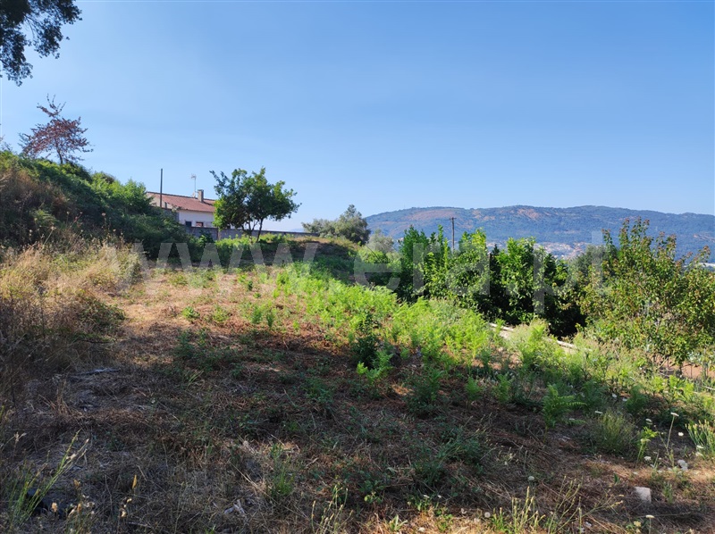 Terreno Misto  Barcelos, Durrães e Tregosa - 1497165 - 3